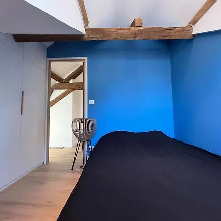 Le Triplex Du Quai Vila Bouchemaine